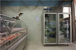 Frigoriferi a libera istallazione per surgelati