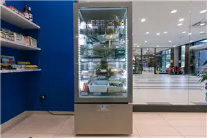 Interno della pescheria